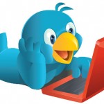 Insertar botón de Follow Twitter en WordPress